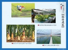 28记忆湖州之经济建设篇(8)