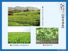 29记忆湖州之经济建设篇(9)