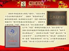 湖州善琏双喜湖笔有限公司(2)