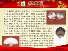 湖州天工羽毛扇研究所(2)