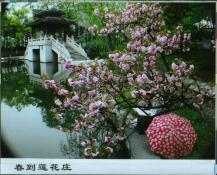 29  春到莲花庄