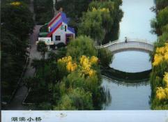 37  湖滨小桥
