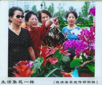 41  生活像花一样