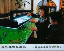 51  绿色环保型农家