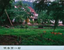 60  银杏第一村