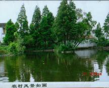 10  农村风景如画