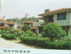 28  建设中的湖东村