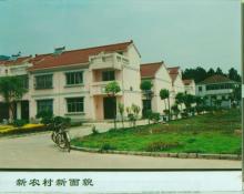 32  新农村新面貌