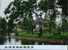 46  水清草绿树荫蓝天