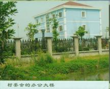 43  村委会的办公大楼