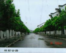 51  环村公路