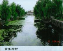 70  青水绿柳