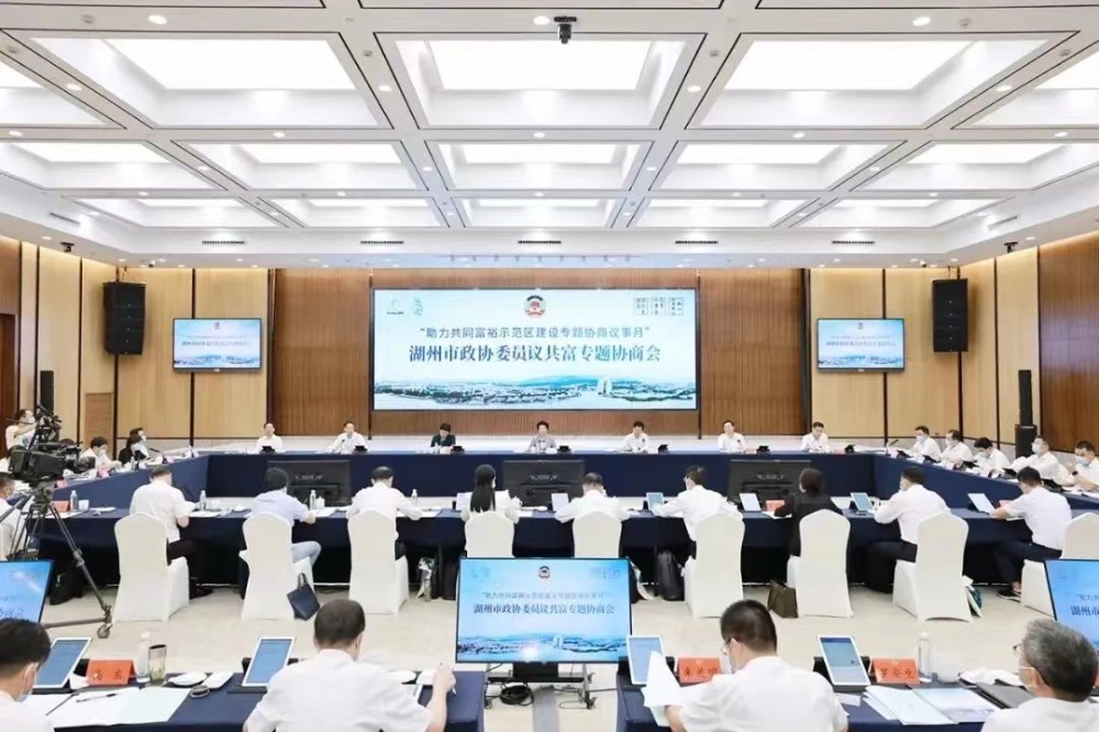 黄莉新在湖州参加专题协商会：提升协商议事质效